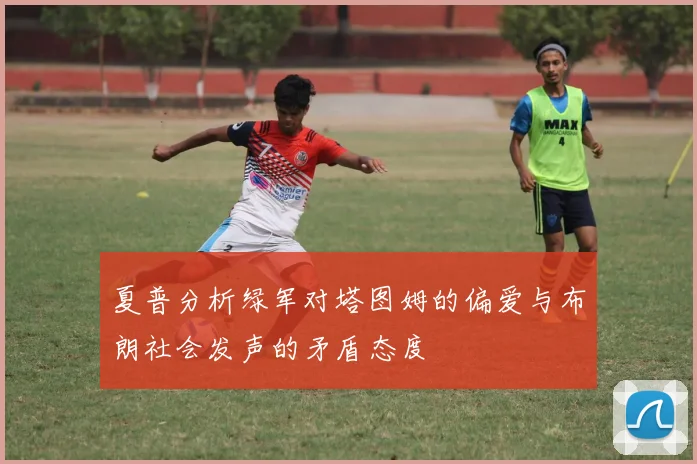 夏普分析绿军对塔图姆的偏爱与布朗社会发声的矛盾态度